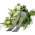 Smuteční kytice
